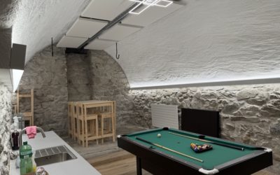 Panneaux acoustiques pour un carnotzet à Bramois